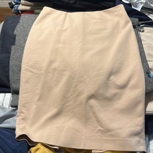 Express size 10 skirt